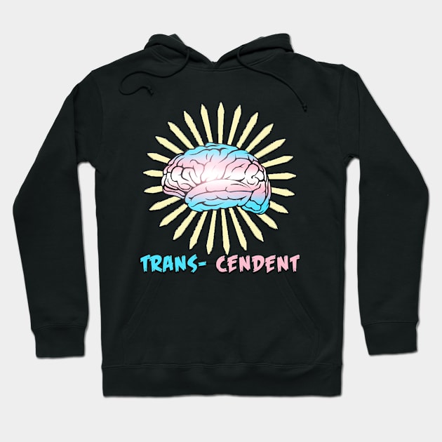 Trans-cendent Hoodie by FrosteeDoodles